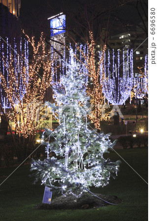 クリスマスツリー 6696580