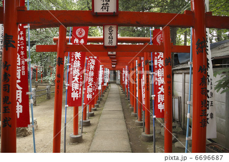 鳥居 鳥居 6696687