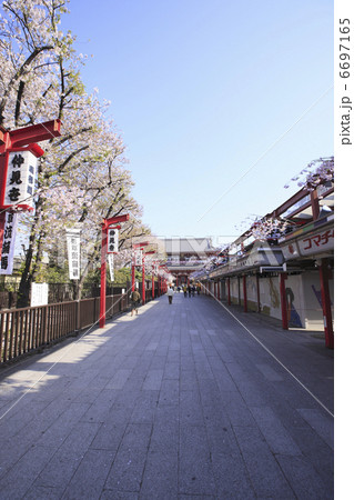 仲見世通り 仲見世通り 6697165