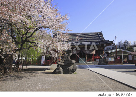浅草神社 6697737