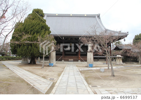 妙顕寺 妙顕寺 6699537