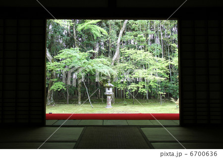 高桐院 高桐院 6700636