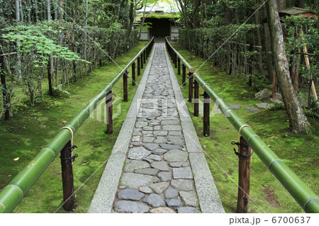 高桐院 高桐院 6700637