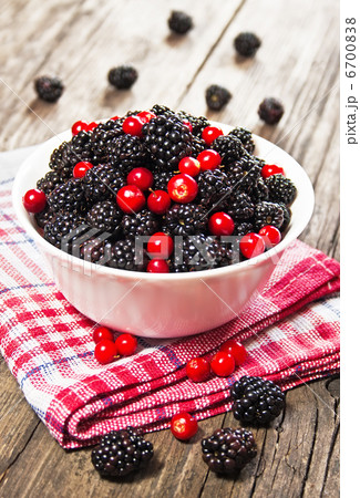 blackberries and cranberries in a bowl 6700838