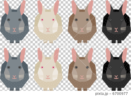 rabbit 6700977