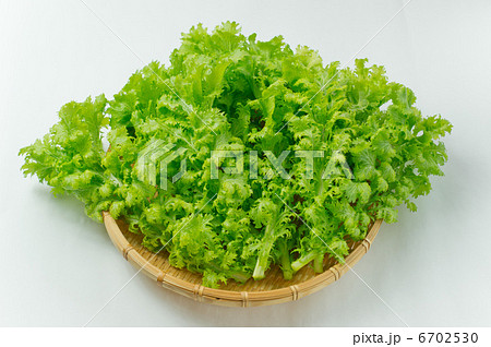 わさび菜 6702530