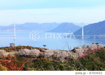 開山公園 開山公園 6703032