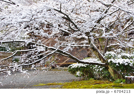 実相院 実相院 6704213