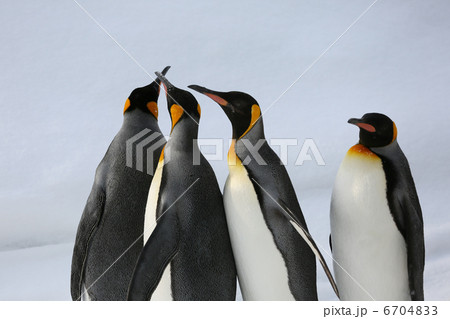 立ち止まる 立ち止まる 6704833