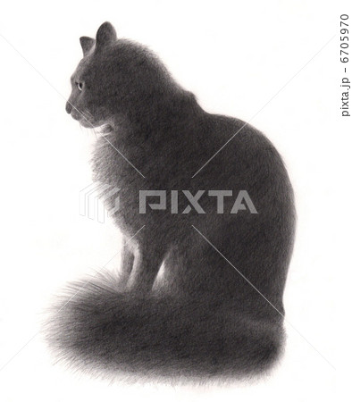 CAT-MIE-1 CAT-MIE-1 6705970