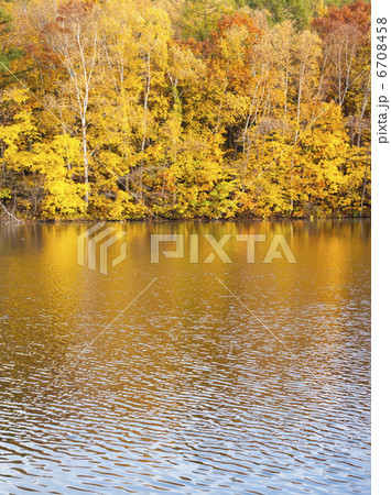 西岡公園 西岡公園 6708458