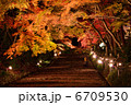 神社の紅葉 6709530