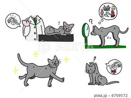 猫の寄生虫の退治のイラスト素材 [6709572] - PIXTA