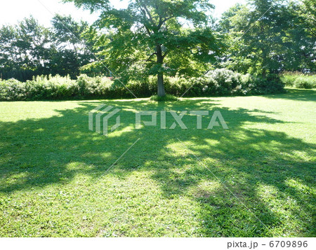 大きな父のせなか似 6709896