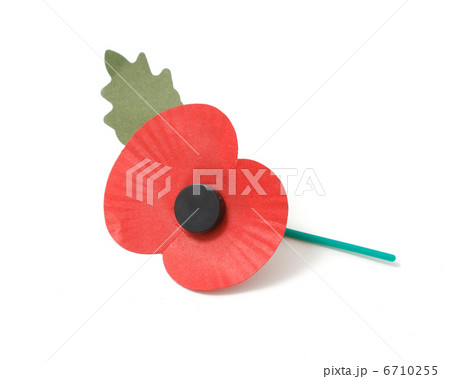 Poppy appeal 6710255