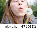Dandelion and girl 6710332