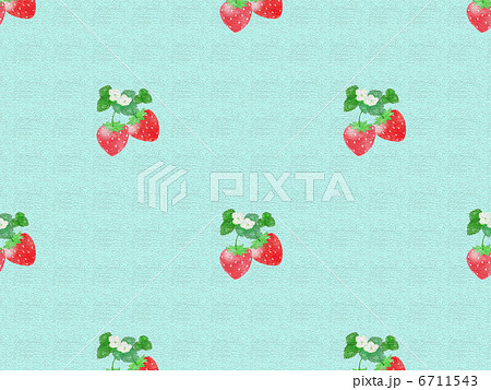 苺 フルーツ 甘い 花 葉 実 デザート 春 苗 栽培 白い花 苺 フルーツ 甘い 花 葉 実 デザート 春 苗 栽培 白い花 6711543