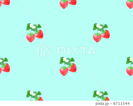 苺　フルーツ　甘い　花　葉　実　デザート　春　苗　栽培　白い花 6711544