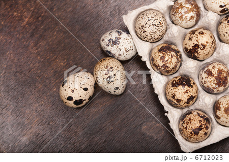 many fresh speckled quail eggs in cardboard container many fresh speckled quail eggs in cardboard container 6712023