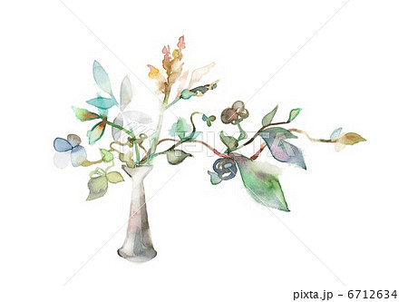 花瓶と植物 ドライフラワーのイラスト素材