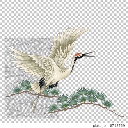 鳥 鶴 タンチョウ 水彩画のイラスト素材 - PIXTA