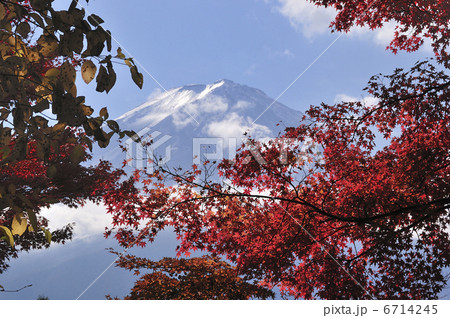 富士と紅葉 6714245