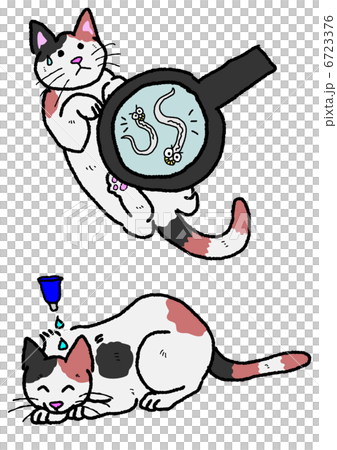 猫、寄生虫、駆除 6723376