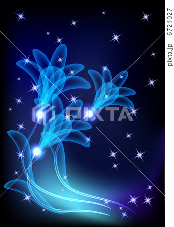Transparent flowers and stars 6724027