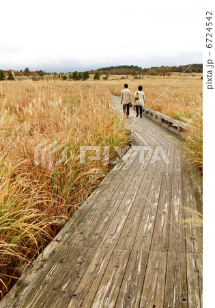 秋のタデ原湿原 6724542