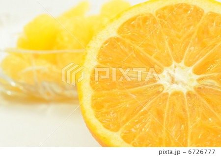 甘夏 甘夏 6726777