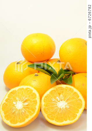 甘夏・夏みかん 6726782