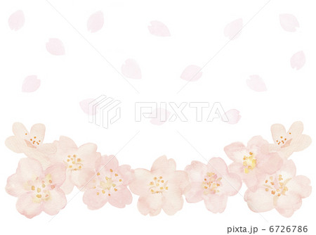 桜の花と花吹雪 6726786