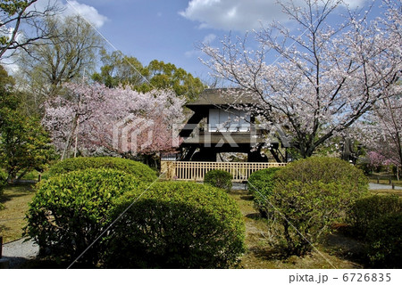 京都　渉成園の庭園 6726835