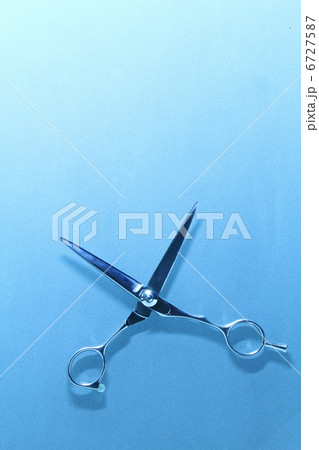 ハサミ 6727587