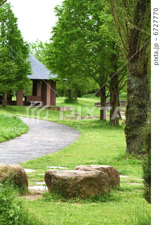 公園散策路 6727770