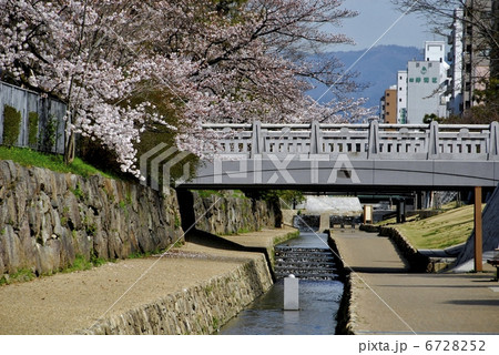 京都　堀川遊歩道 6728252