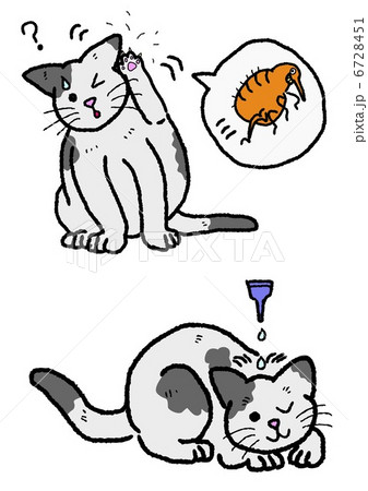 猫のノミの駆除のイラスト素材