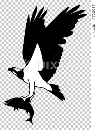 Osprey 1 6728917