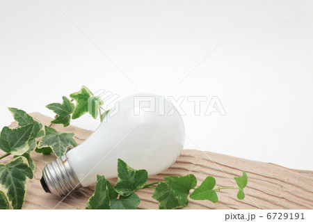 白熱電球とツタの葉 6729191