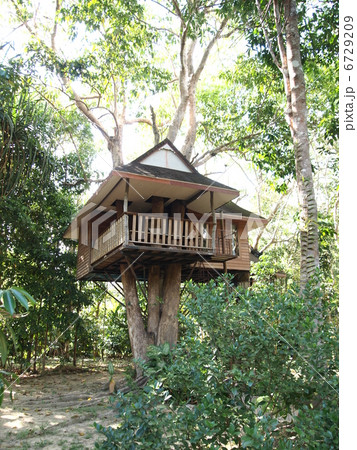 ツリーハウス 6729209
