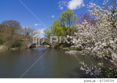 春のニューヨークセントラルパーク 6729554