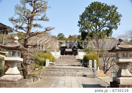 知多木綿発祥の地　岡田　慈雲寺 6730216