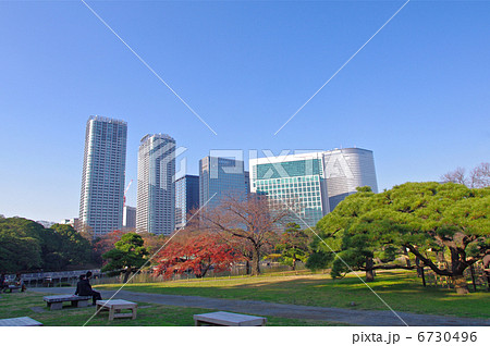 浜離宮と汐留のビル街 浜離宮と汐留のビル街 6730496