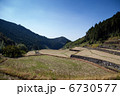 棚田 6730577