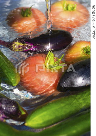 夏野菜 夏野菜 6730606
