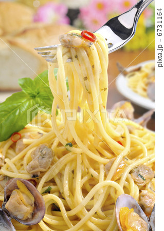 ボンゴレ 6731164