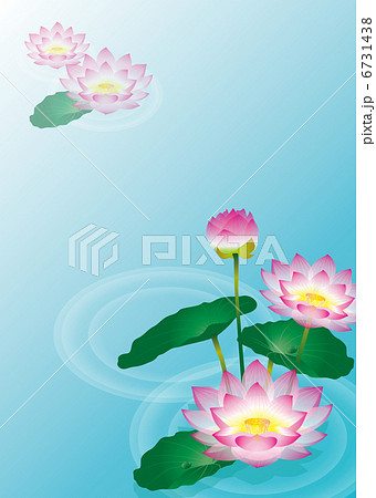 蓮 6731438