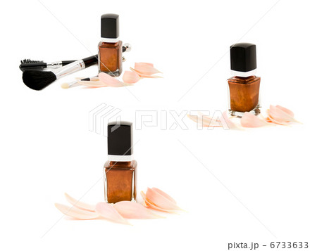 make up accessories with flower petal isolated. High resolution 6733633