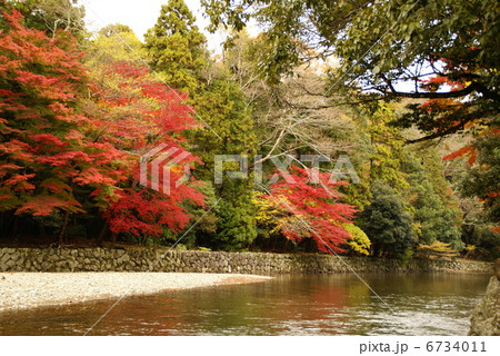 五十鈴川の清流と紅葉 6734011