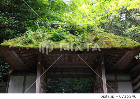 法然院の山門と新緑 6735546